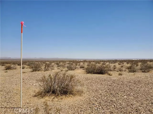 Adelanto, CA 92301,10 Near Buffalo Road