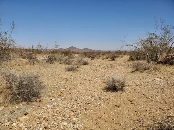 Adelanto, CA 92301,10 Near Buffalo Road