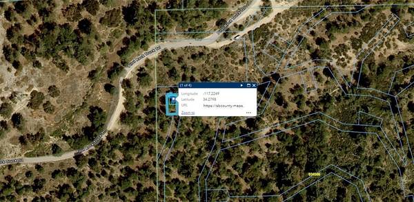 2 Deer, Lake Arrowhead, CA 92352