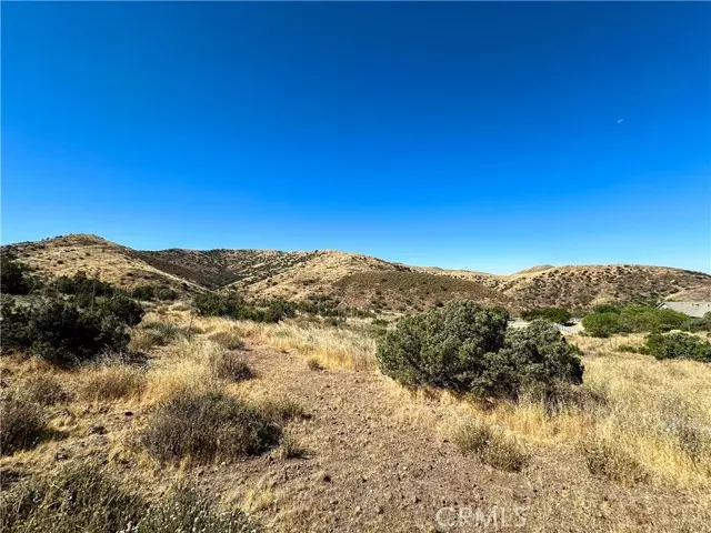 0 Big Springs Road, Agua Dulce, CA 91350