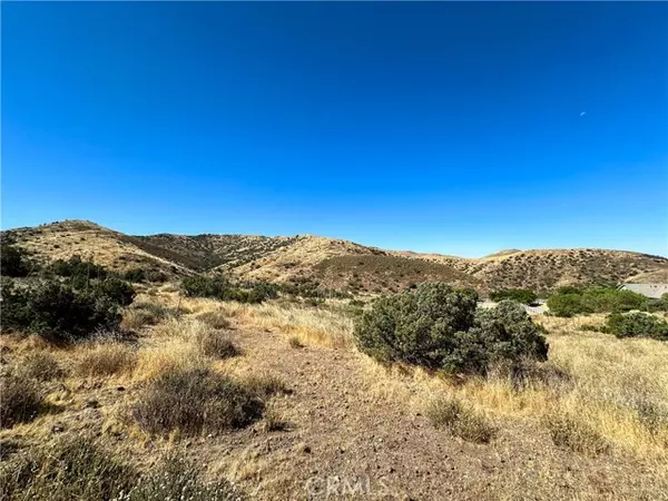 0 Big Springs Road, Agua Dulce, CA 91350