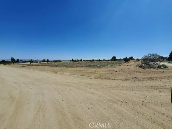 0 Buena Vista Rd, Pinon Hills, CA 92372