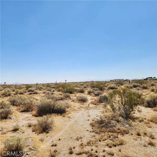 El Mirage, CA 92301,202 Shelly Road