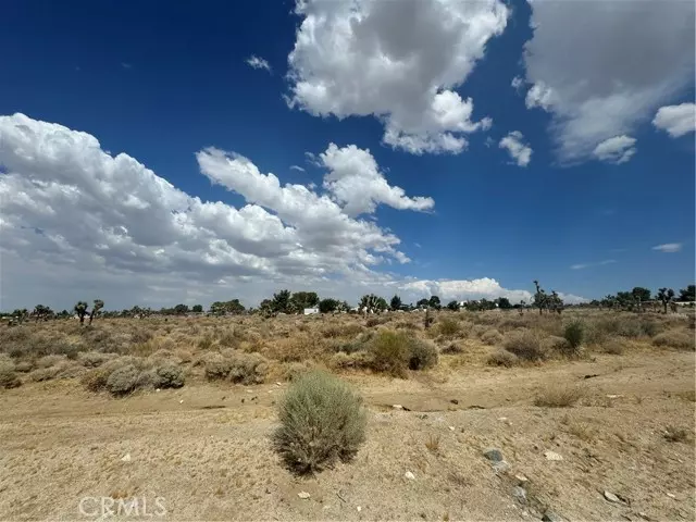 Pinon Hills, CA 92372,0 Desert View