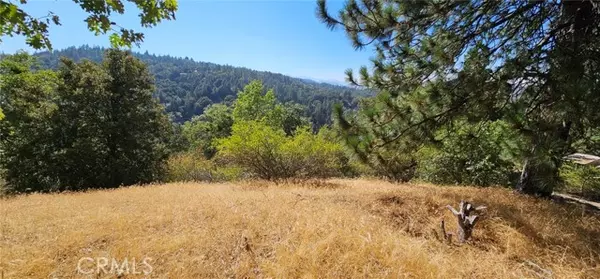 Crestline, CA 92325,0 Edelweiss Drive