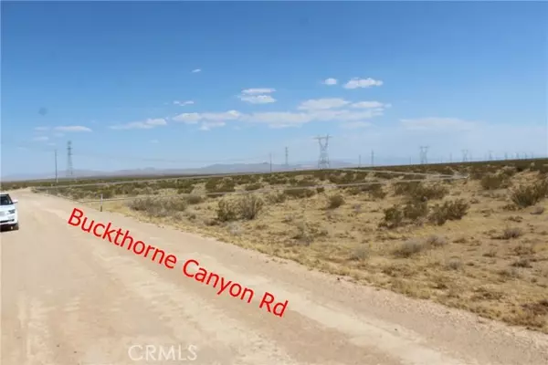 Adelanto, CA 92301,111 Buckthorne Canyon Road