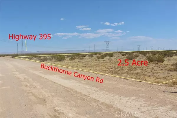 Adelanto, CA 92301,111 Buckthorne Canyon Road