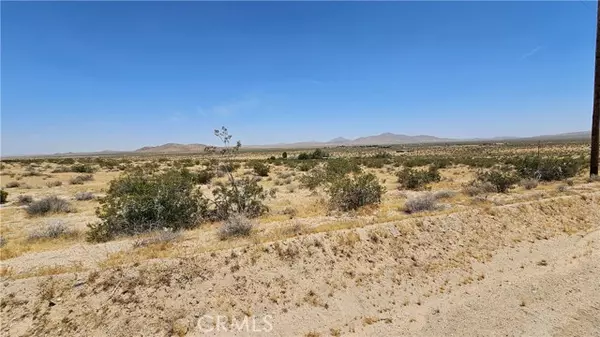 Helendale, CA 92342,1 Buckhorn Trail