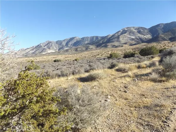 Lucerne Valley, CA 92356,10 Mesa