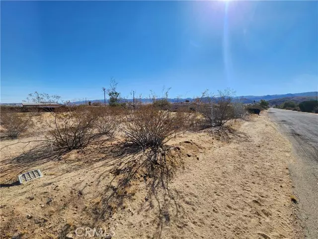 Joshua Tree, CA 92252,50 Avenida Lane