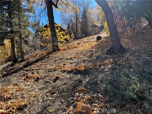 Big Bear City, CA 92314,1203 S Minton Avenue