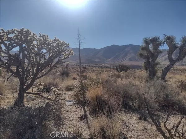 Lucerne Valley, CA 92356,40 Powerline Road