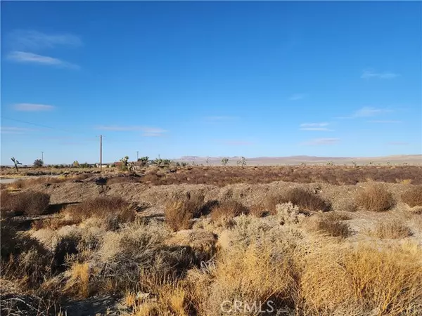 Adelanto, CA 92301,10000 El Mirage Road