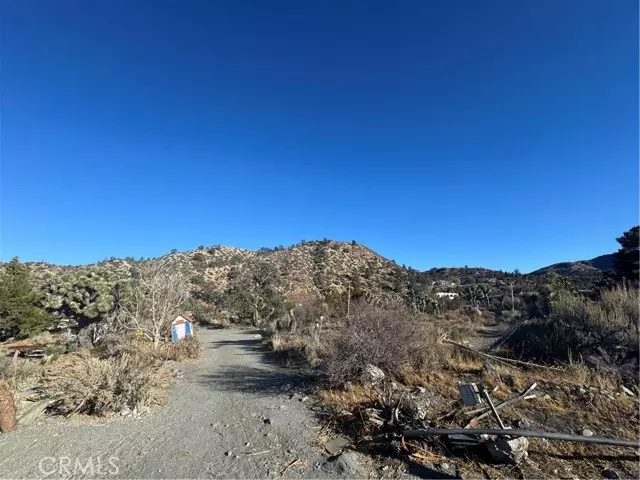 Wrightwood, CA 92397,0 Buckwheat