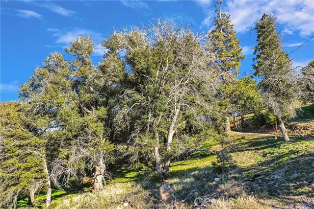 0 Near Mojave River Road, Cedarpines Park, CA 92322