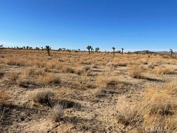 Adelanto, CA 92301,0 - Vinton Road