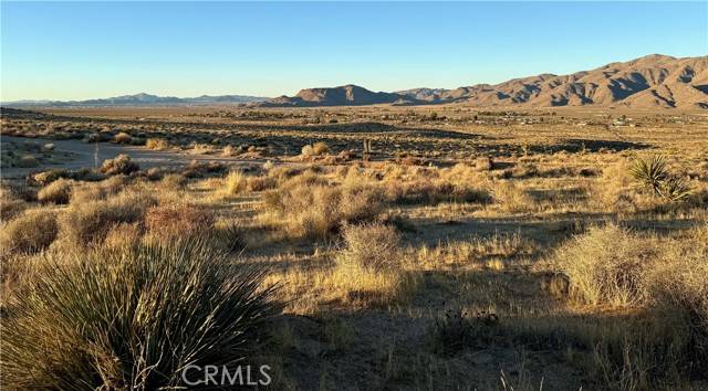 Apple Valley, CA 92308,1 Ocotillo Way