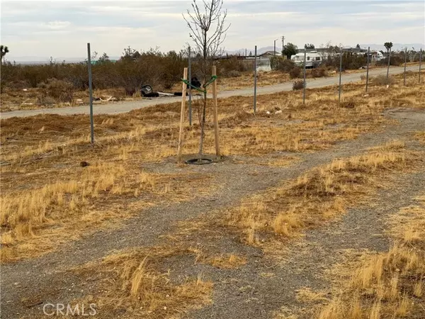 Phelan, CA 92371,3185 Olivera Road