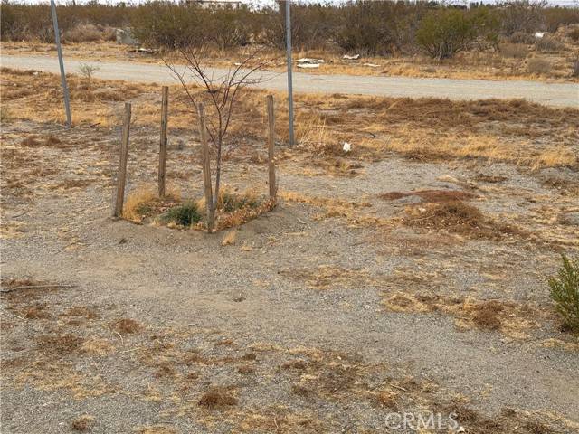 Phelan, CA 92371,3185 Olivera Road