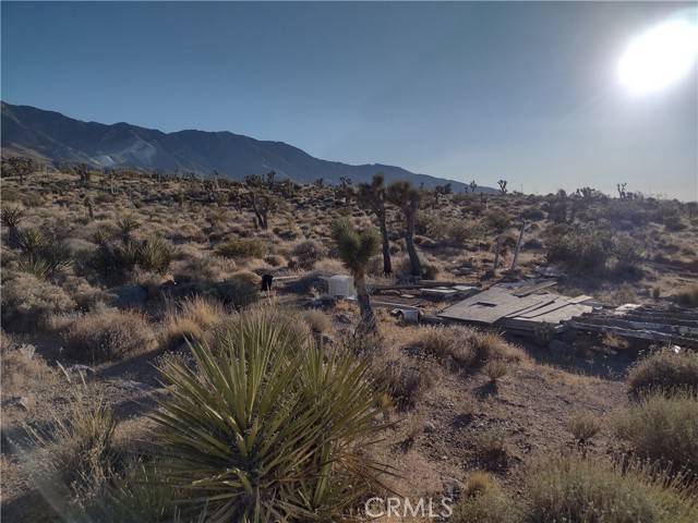 Lucerne Valley, CA 92356,5 Tate Lane