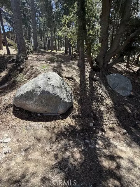 Twin Peaks, CA 92391,0 Highland Avenue