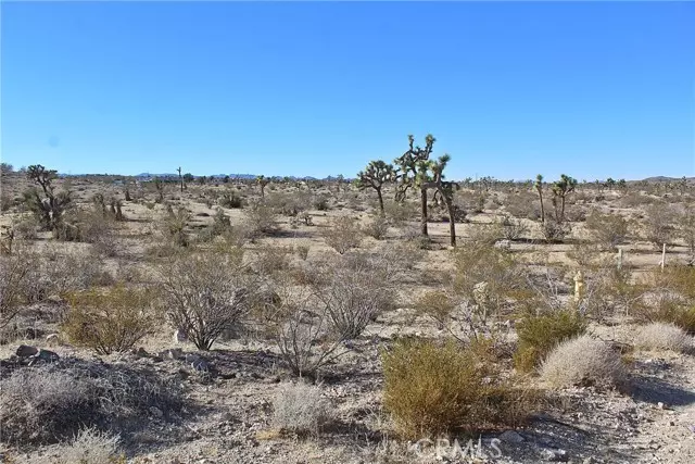 Yucca Valley, CA 92284,11 Alta Avenue