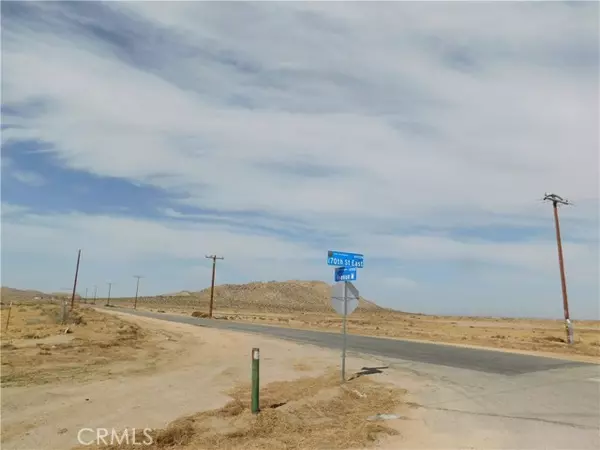 Lake Los Angeles, CA 93536,6 Avenue M