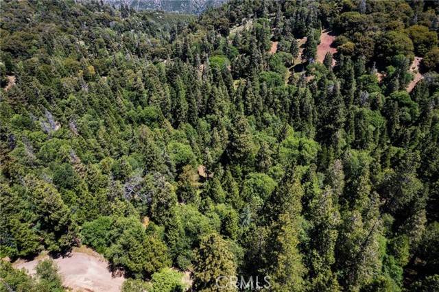 3430247 Mojave View Drive, Cedarpines Park, CA 92322