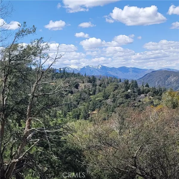 Cedarpines Park, CA 92322,3430247 Mojave View Drive