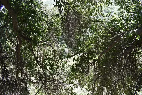 Green Valley, CA 91350,0 Vac Calle El Baranco/Vic Spunk