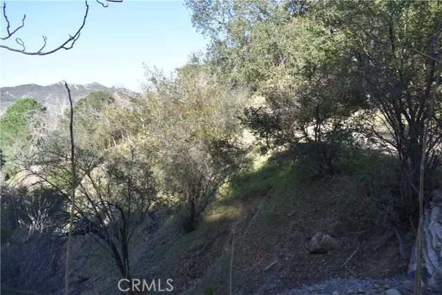 Crestline, CA 92322,0 Crest Forest Dr
