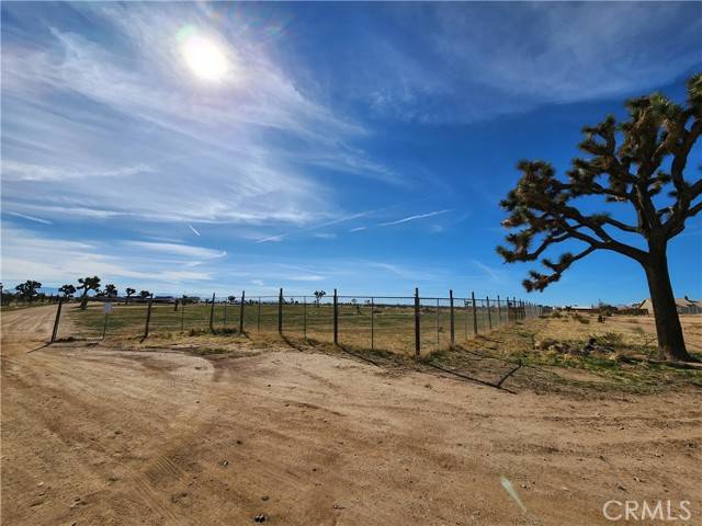 Victorville, CA 92392,8953 Wadi Road