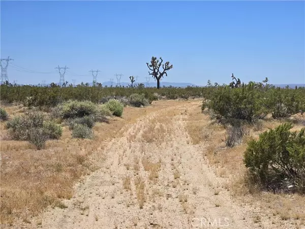 Adelanto, CA 92301,10 Beaver Avenue