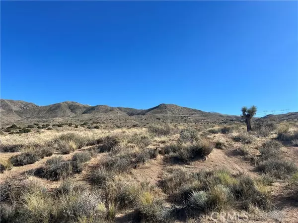 Apple Valley, CA 92307,0 Mountain View Road