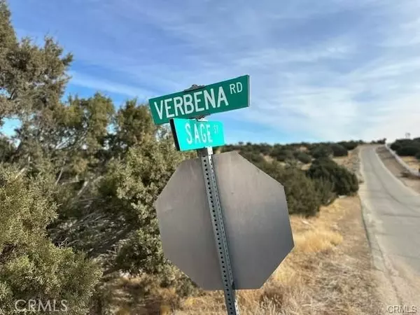 Oak Hills, CA 92344,0 Verbena