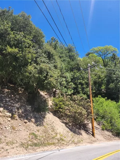 Lake Arrowhead, CA 92352,1187 Brentwood Drive