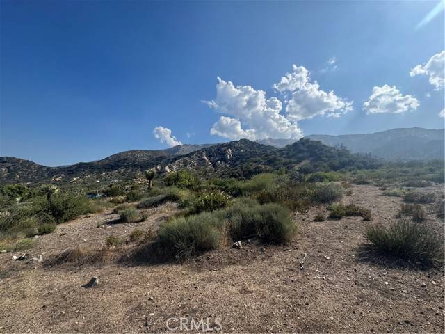 Phelan, CA 92371,0 Stuveling Street
