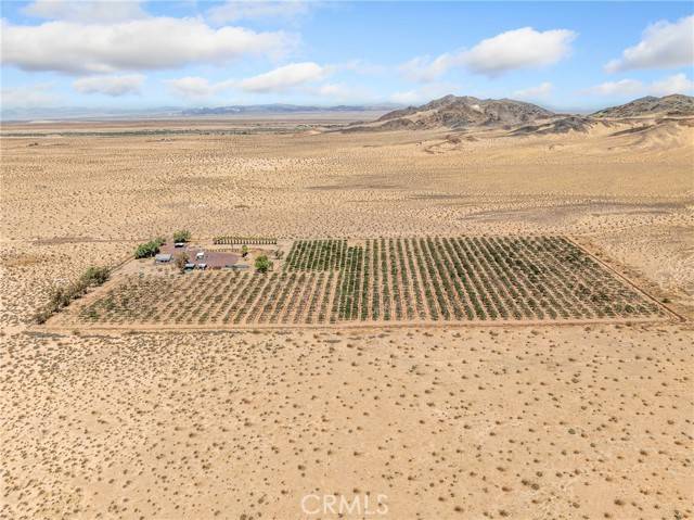 Newberry Springs, CA 92365,49333 Riverside Road