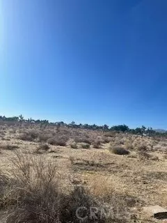 Pinon Hills, CA 92372,0 Pine Tree Road