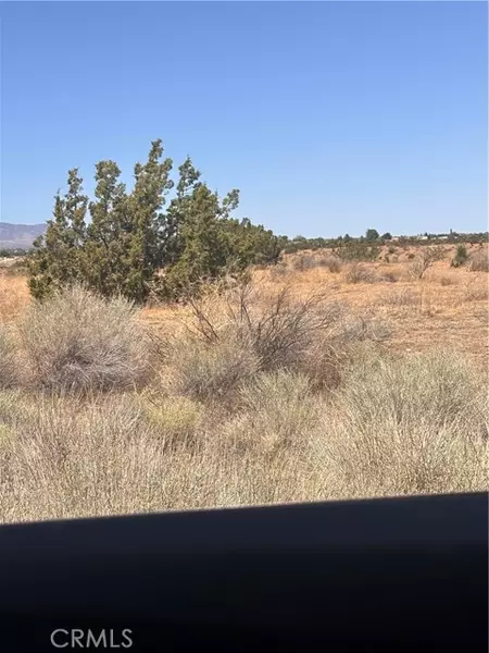 0 Beekley Road, Pinon Hills, CA 92372