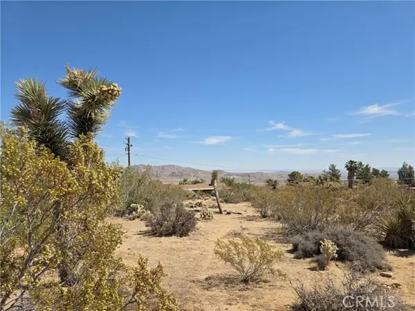 Joshua Tree, CA 92252,0 La Mirada Trail