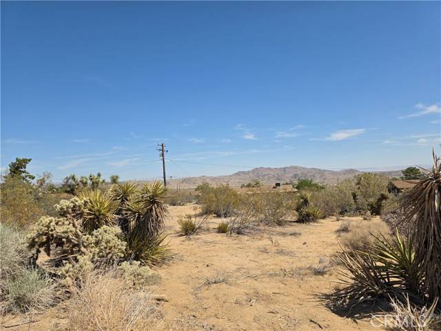 Joshua Tree, CA 92252,0 La Mirada Trail
