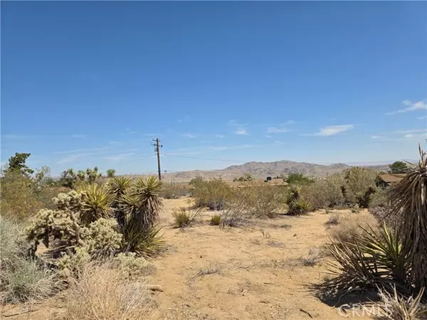 Joshua Tree, CA 92252,0 La Mirada Trail