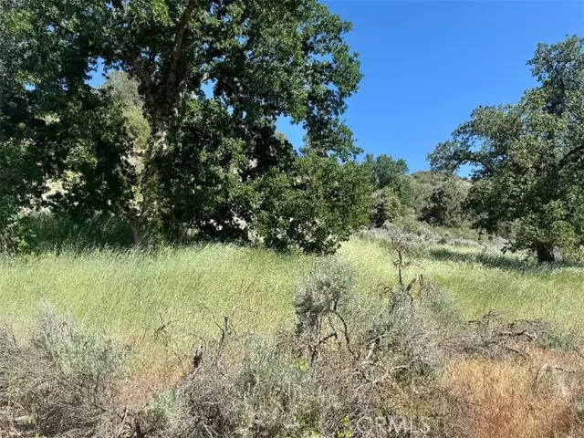 Bear Valley Springs, CA 93561,0 Butterfield Way