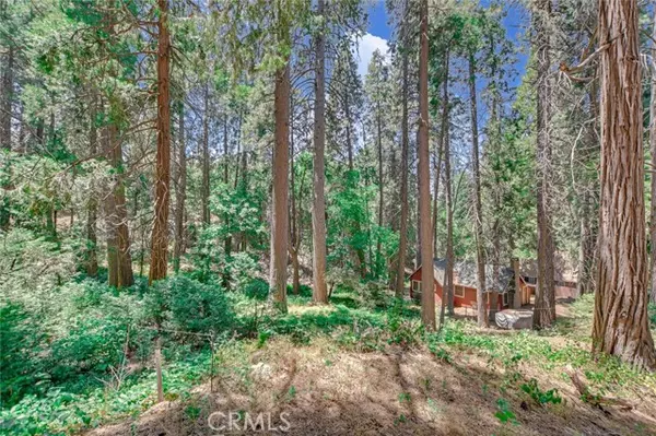 Crestline, CA 92325,590 Electra Drive