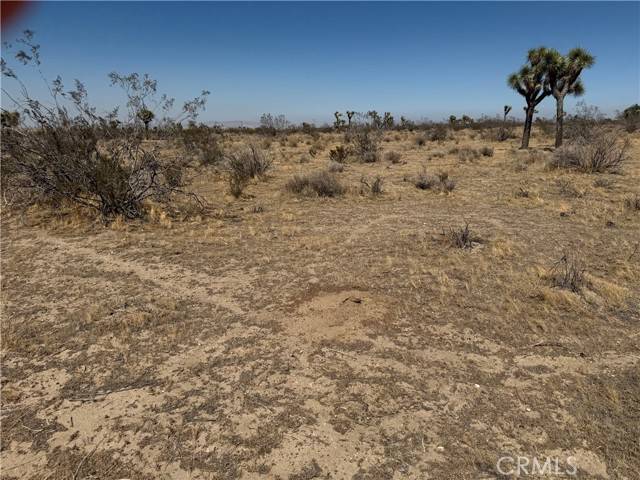 12432 La Mirada Road, Phelan, CA 92371
