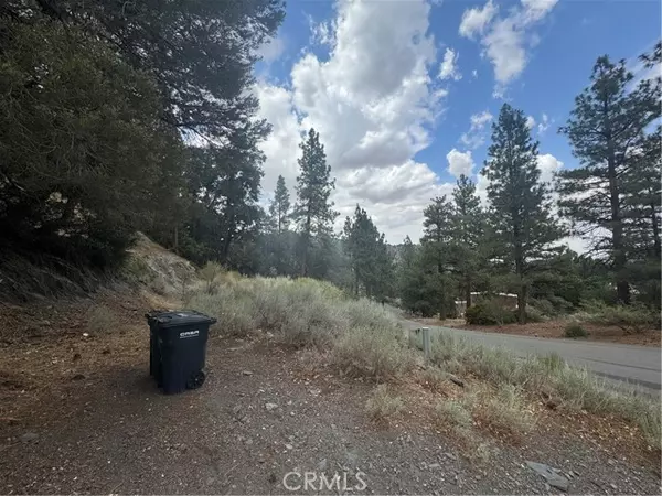Wrightwood, CA 92397,1772 Ash Road