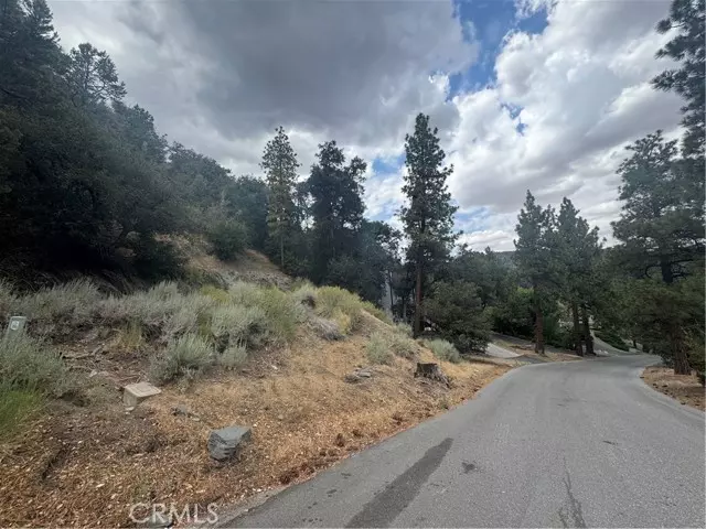 Wrightwood, CA 92397,1772 Ash Road