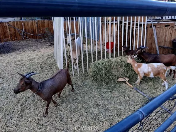 Wrightwood, CA 92371,3215 Whispering Pines Road