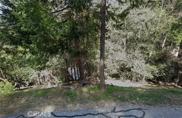 Crestline, CA 92325,0 Acacia Drive